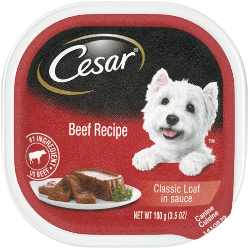 Cesar Dog Wet Food