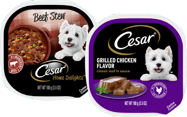 Cesar Wet Dog Food