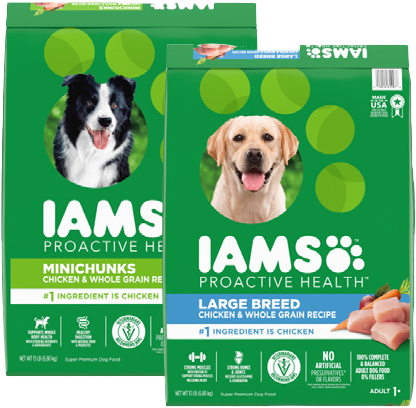 IAMS Dry Dog Food