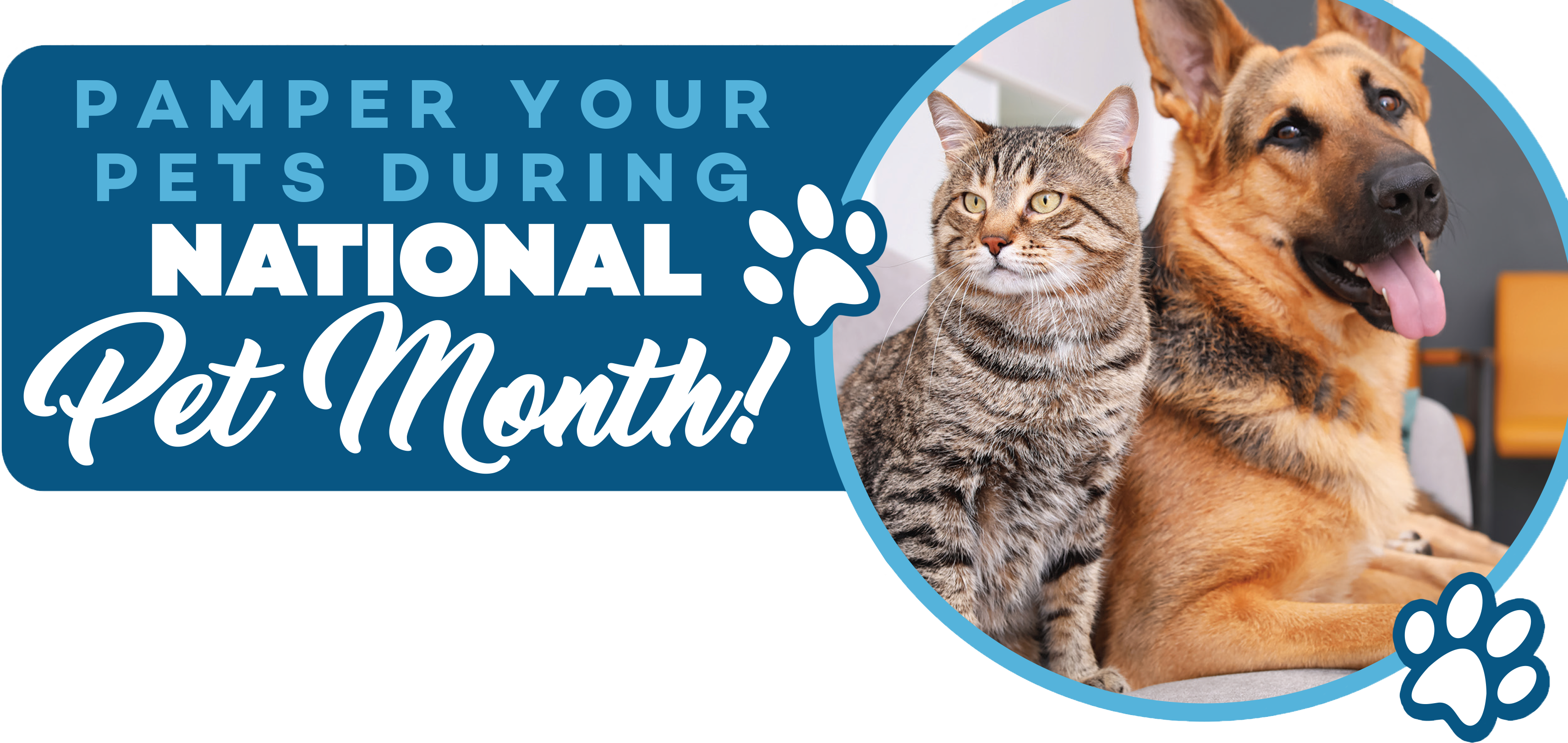 Pamper your pets during National Pet Month!